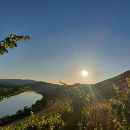 Ferienwohnungen Zum Niederberg Лізер Екстер'єр фото