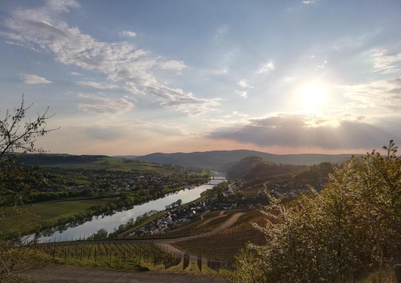 Ferienwohnungen Zum Niederberg Лізер Екстер'єр фото