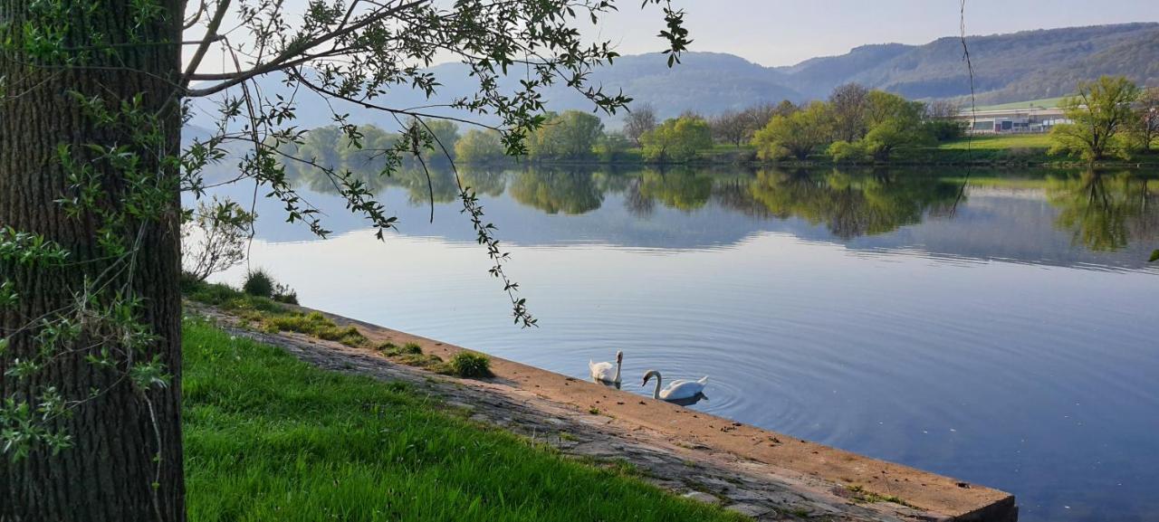 Ferienwohnungen Zum Niederberg Лізер Екстер'єр фото