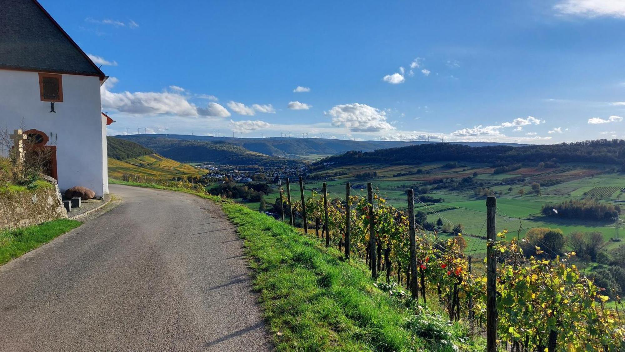 Ferienwohnungen Zum Niederberg Лізер Екстер'єр фото